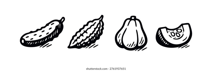 Hand drawn collection of cucumber, bitter melon, and squash vegetables.