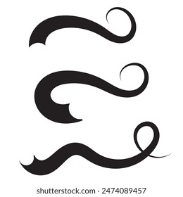 Hand drawn collection of curly swishes, swashes, swoops. Calligraphy swirl. Highlight text elements. Vector illustration.