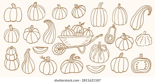 Hand drawn collection of doodle pumpkins in a naive sketch style. Rustic vector illustration with textured outline perfect for autumn, harvest, Halloween, and seasonal designs.
