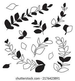 Hand drawn collection of eucalyptus branches and leaves. Abstract one line floral design elements for invitations, greeting cards, web. Doodle style