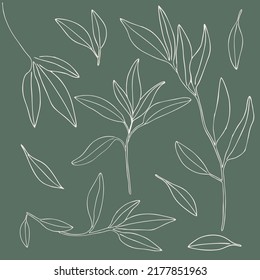 Hand drawn collection floral decoration elements