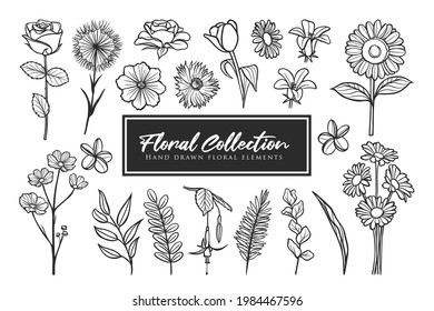 hand drawn collection of floral elements