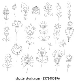 hand drawn collection of flowers