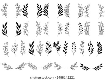 Hand drawn collection forest fern eucalyptus art foliage natural leaves herbs in line style. frame, border, ornament design. Doodle sketch style. Floral elements drawn by brush-pen.