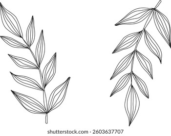 Hand Drawn Collection Of Herbal Leaf Floral Art Doodle Vector Illustration 