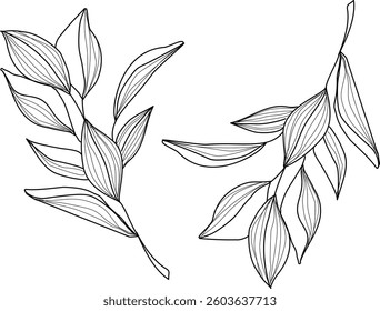 Hand Drawn Collection Of Herbal Leaf Floral Art Doodle Vector Illustration 