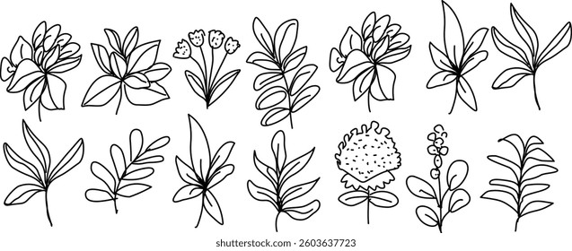 Hand Drawn Collection Of Herbal Leaf Floral Art Doodle Vector Illustration 