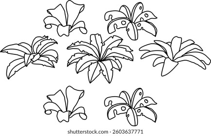 Hand Drawn Collection Of Herbal Leaf Floral Art Doodle Vector Illustration 