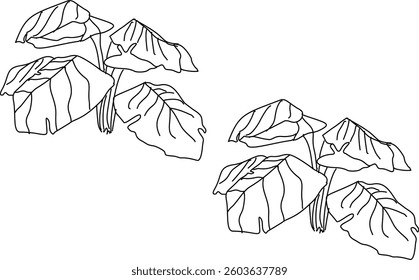Hand Drawn Collection Of Herbal Leaf Floral Art Doodle Vector Illustration 