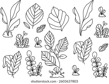 Hand Drawn Collection Of Herbal Leaf Floral Art Doodle Vector Illustration 