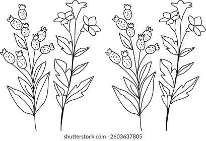 Hand Drawn Collection Of Herbal Leaf Floral Art Doodle Vector Illustration 