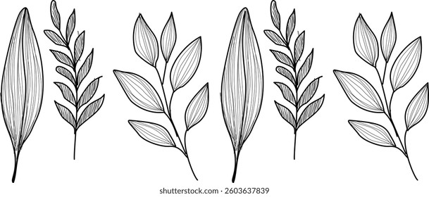 Hand Drawn Collection Of Herbal Leaf Floral Art Doodle Vector Illustration 