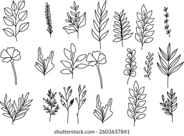 Hand Drawn Collection Of Herbal Leaf Floral Art Doodle Vector Illustration 