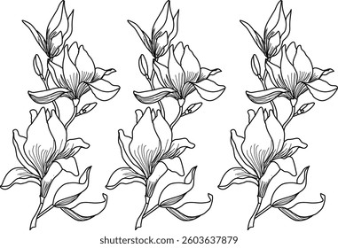 Hand Drawn Collection Of Herbal Leaf Floral Art Doodle Vector Illustration 