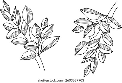 Hand Drawn Collection Of Herbal Leaf Floral Art Doodle Vector Illustration 
