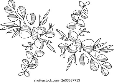 Hand Drawn Collection Of Herbal Leaf Floral Art Doodle Vector Illustration 
