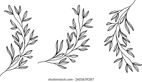 Hand Drawn Collection Of Herbal Leaf Floral Art Doodle Vector Illustration 