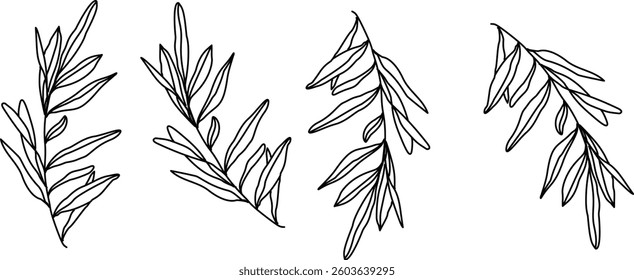 Hand Drawn Collection Of Herbal Leaf Floral Art Doodle Vector Illustration 