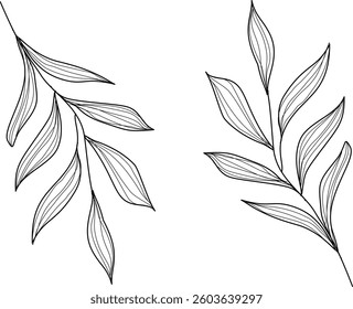 Hand Drawn Collection Of Herbal Leaf Floral Art Doodle Vector Illustration 