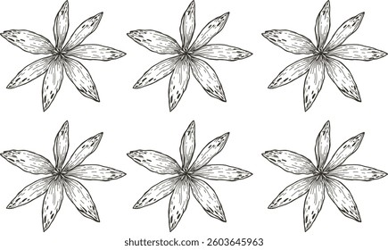 Hand Drawn Collection Of Herbal Leaf Floral Art Doodle Vector Illustration 