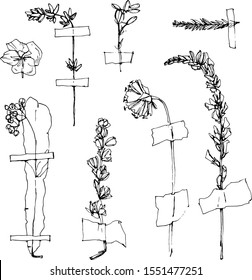 Hand drawn collection of herbarium. Hand drawing style. Linear style. Drawing. Sketch style vector collection of dried flowers.