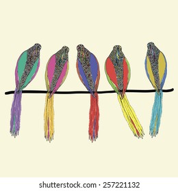 hand drawn collection of kind and funny birds