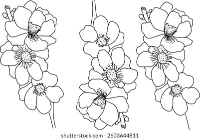Hand Drawn Collection Of Leaf And Flower Art Doodle Vector Illustration 