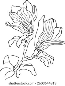Hand Drawn Collection Of Leaf And Flower Art Doodle Vector Illustration 