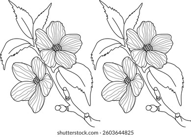 Hand Drawn Collection Of Leaf And Flower Art Doodle Vector Illustration 