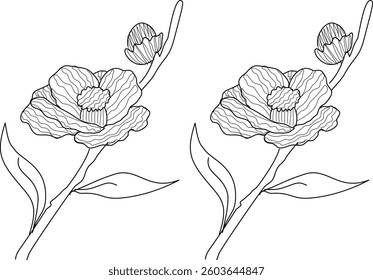 Hand Drawn Collection Of Leaf And Flower Art Doodle Vector Illustration 