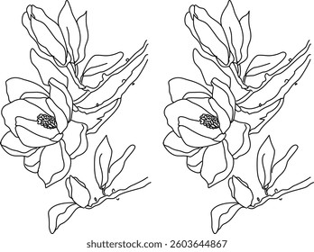 Hand Drawn Collection Of Leaf And Flower Art Doodle Vector Illustration 