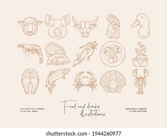 Hand drawn collection of line art animals, seafood illustrations. Template for branding, banner, poster, advertise.