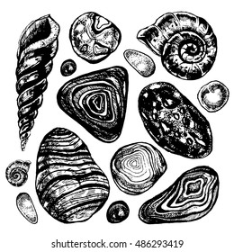 Hand drawn collection of pebbles and shells. Vector ink illustration in engraving style. Rustic, boho, grunge, nautical.