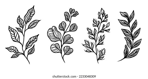 hand drawn Collection plants ilustration with elegant leaves for tatto, invitation, card design. Set of hand drawn outline botanical Floral branch and plant vector illustration