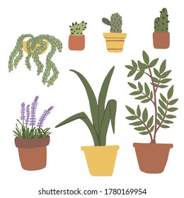 Hand drawn collection of plants in a pot. Set of different herbs. Vector gardening concept. Design elements for pattern, print, packing, stickers, poster, website, social media, card