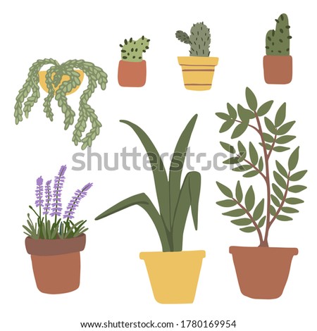 Hand drawn collection of plants in a pot. Set of different herbs. Vector gardening concept. Design elements for pattern, print, packing, stickers, poster, website, social media, card