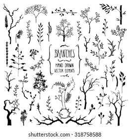 Hand drawn collection of rustic and floral design elements. Tree branches, flowers, plants and leaves ink silhouettes. Isolated vector on white.