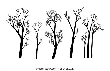 Hand Drawn Collection of Tree Silhouettes. Hand Drawn Isolated on White Background. Vector Illustrations.