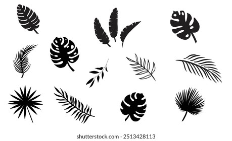 Hand drawn collection of tropical leaves
