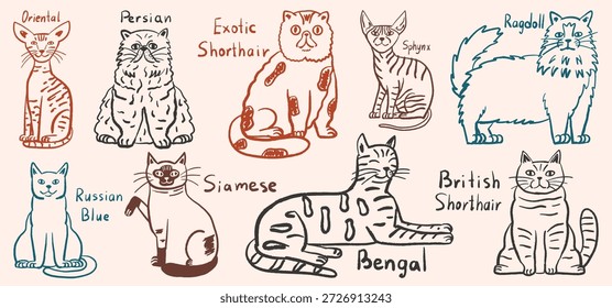 Hand drawn collection of various cat breeds in minimalist line art style. Diverse feline characters with Siamese, Bengal, Sphynx and Persian  animals. Vector doodle illustration