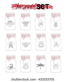 Hand drawn collection of various insects in glass jars. Doodle line art illustration and graphic sketch, black and white vector with icons, vintage entomologic set