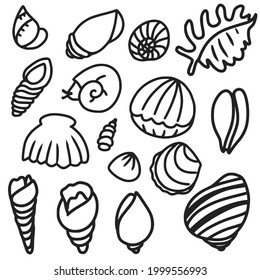 Hand drawn collection of various mollusk seashells different forms for coloring book