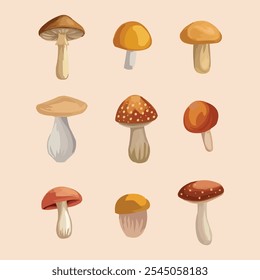 Hand drawn collection of various mushrooms, showcasing unique designs and detailed illustrations.