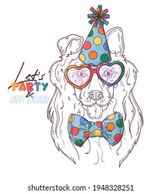 Hand drawn collie clown dog portrait with accessories Vector. Isolated objects for your design. Each object can be changed and moved.