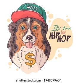Hand drawn collie rapper dog portrait with accessories Vector. Isolated objects for your design. Each object can be changed and moved.