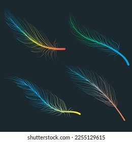 Hand drawn color bird feathers line art doodle drawing black background