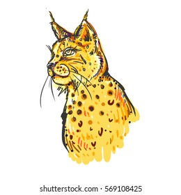 hand drawn color bobcat on white background. Design for poster, print, t-shirt, banners, flyers. vector eps 8.