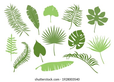 Hand drawn color branches of tropical plants leaves isolated on white background. Silhouette flat vector illustration. Design for pattern, logo, template, banner, posters, invitation, greeting card 