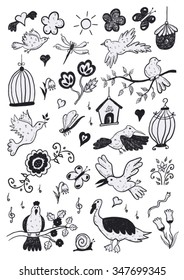 Hand Drawn Color Cartoon Birds Set