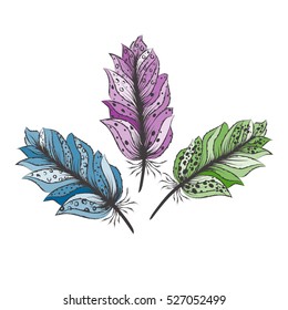 Hand drawn  color feathers set for your design, vector illustration